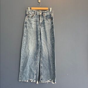 American Eagle Outfitters Light Blue Wide Leg Jeans
